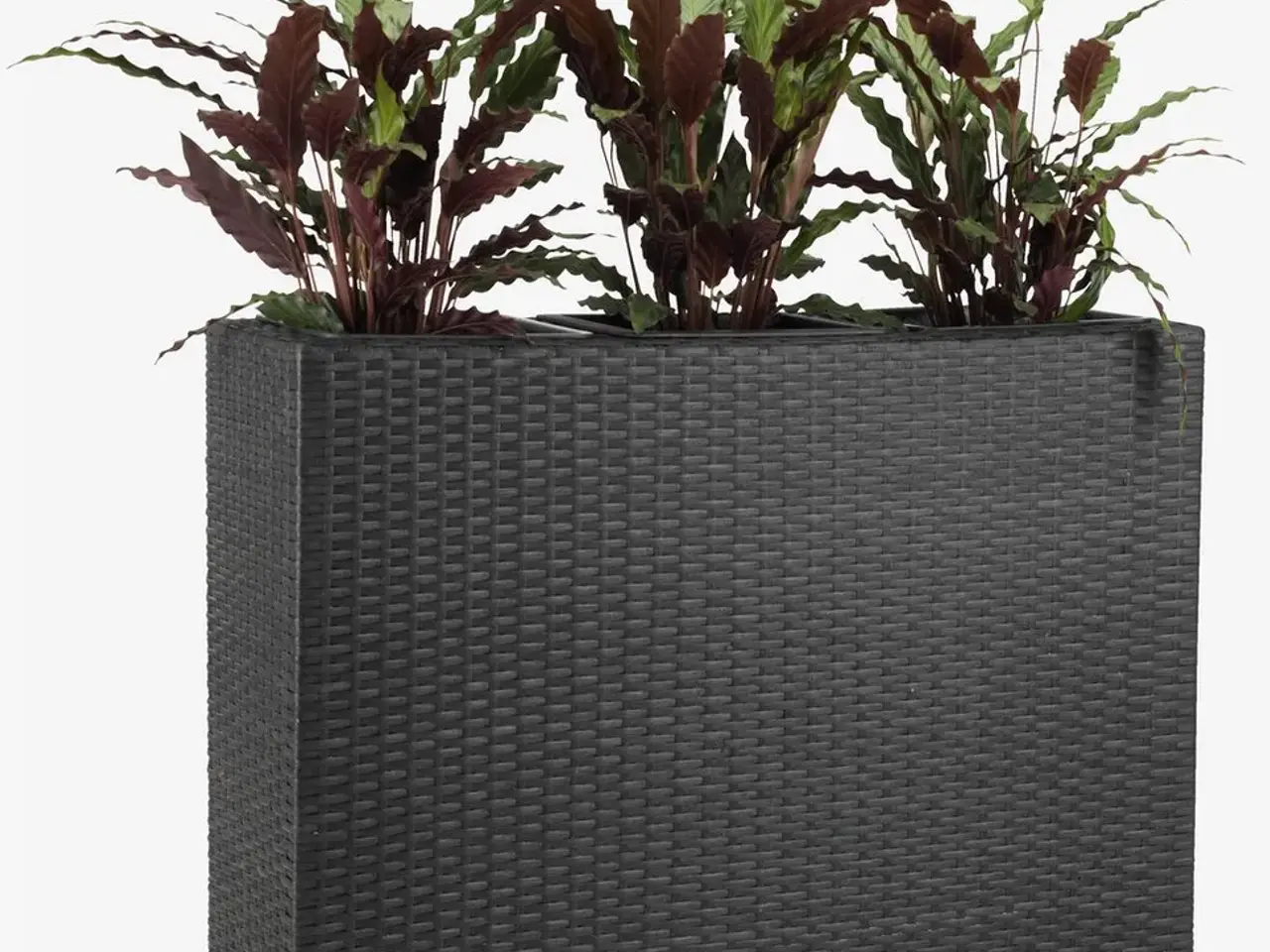 Billede 3 - Plantekasse