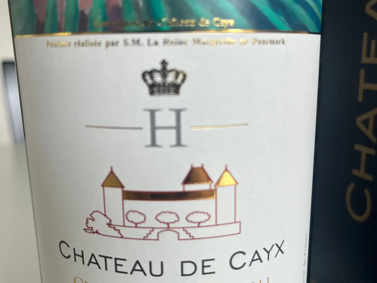 Billede 3 - Sjælden magnum Chateauneuf de Cayx 2011 