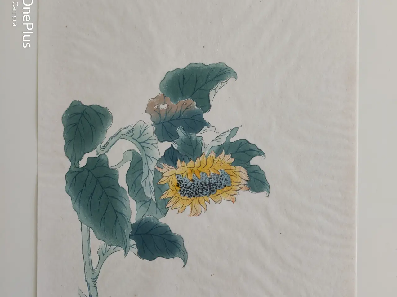 Billede 5 - blomster illustrationer, gl. kinesiske