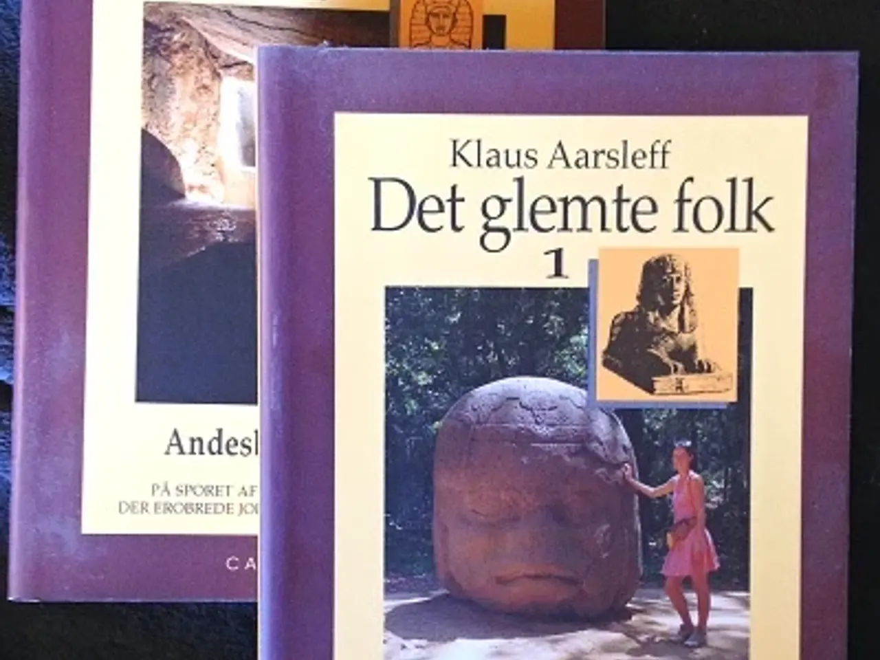 Billede 1 - Klaus Aarsleff: Det glemte folk