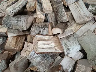Birk og Eg
