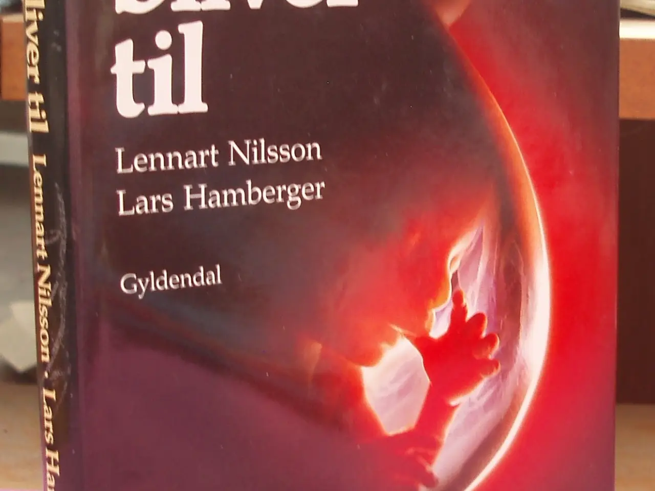Billede 1 - Et barn bliver til af Lennart Nilsson og Lars Hamb