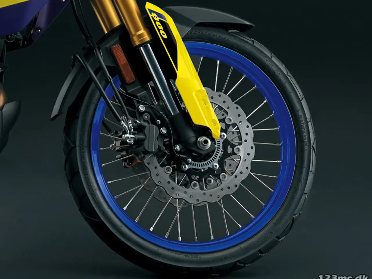 Billede 4 - Suzuki DL 800 DE V-Strom