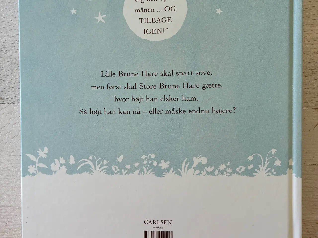 Billede 2 - Hvor højt tror du, jeg elsker dig? Sam McBartney