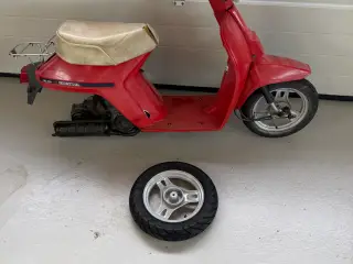 Honda melodi mini