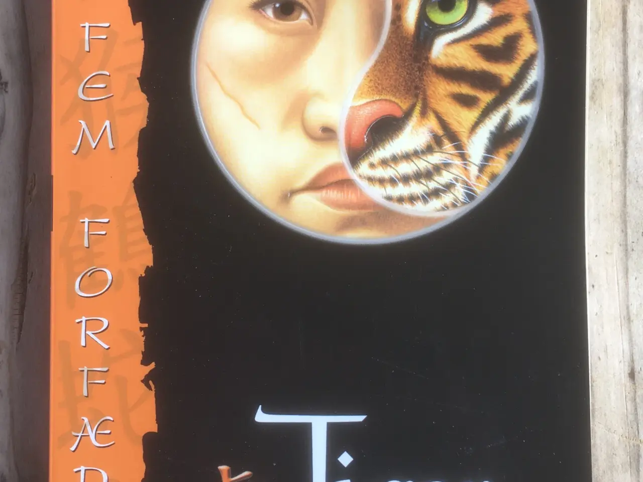 Billede 1 - Tiger, Jeff Stone , genre: eventyr