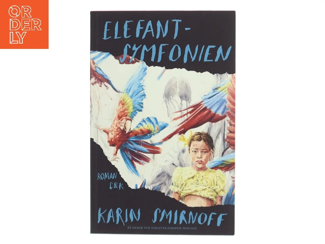 Billede 1 - Elefantsymfonien : roman af Karin Smirnoff (f. 1964) (Bog)