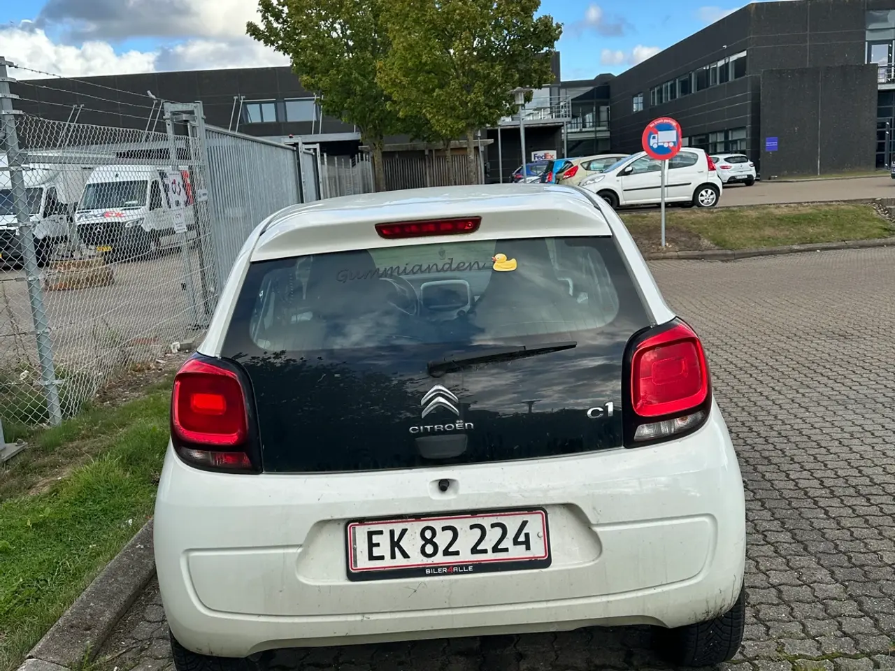 Billede 3 - Det hvide lyn