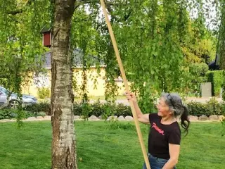 Sværmfanger på lang skaft