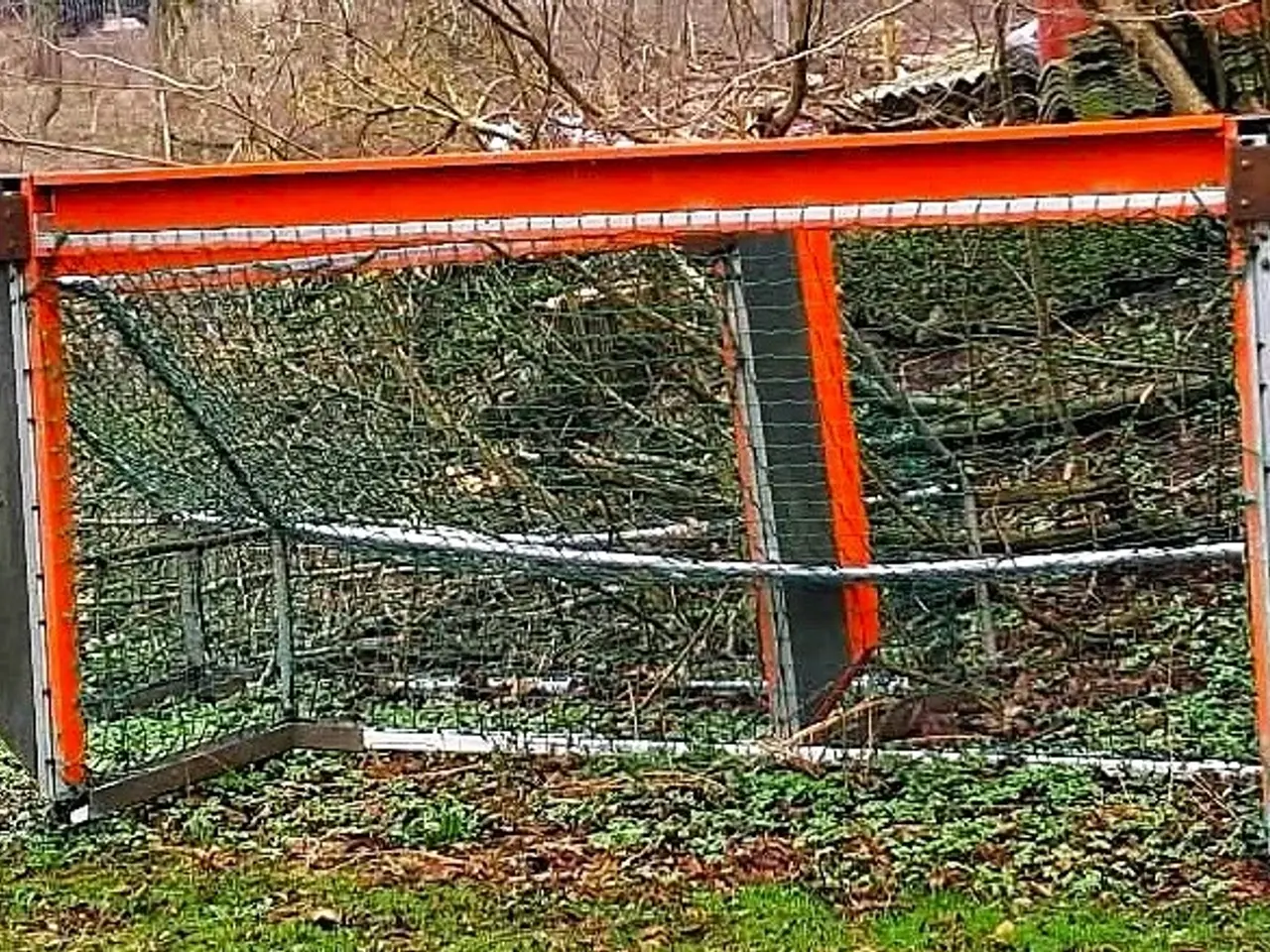 Billede 4 - 2 vandpolomål sælges