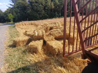 Halm byg i små baller 