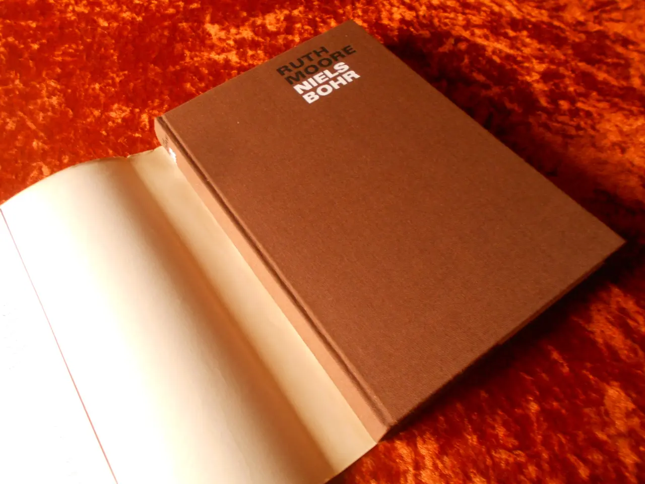Billede 2 - Niels Bohr - en biografi, Ruth Moore,