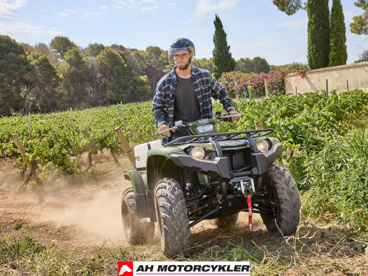 Billede 17 - Yamaha Kodiak 450 EPS , diff-lock