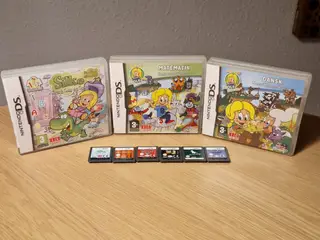 🎮 Nintendo DS spilpakke – 9 spil