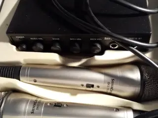 Karaoke set med 2 metal microphone