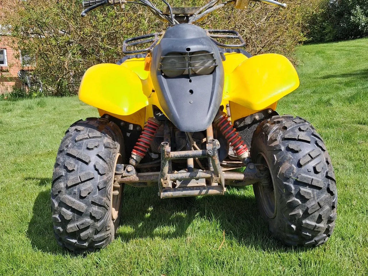 Billede 2 - Aeon cobra 100cc