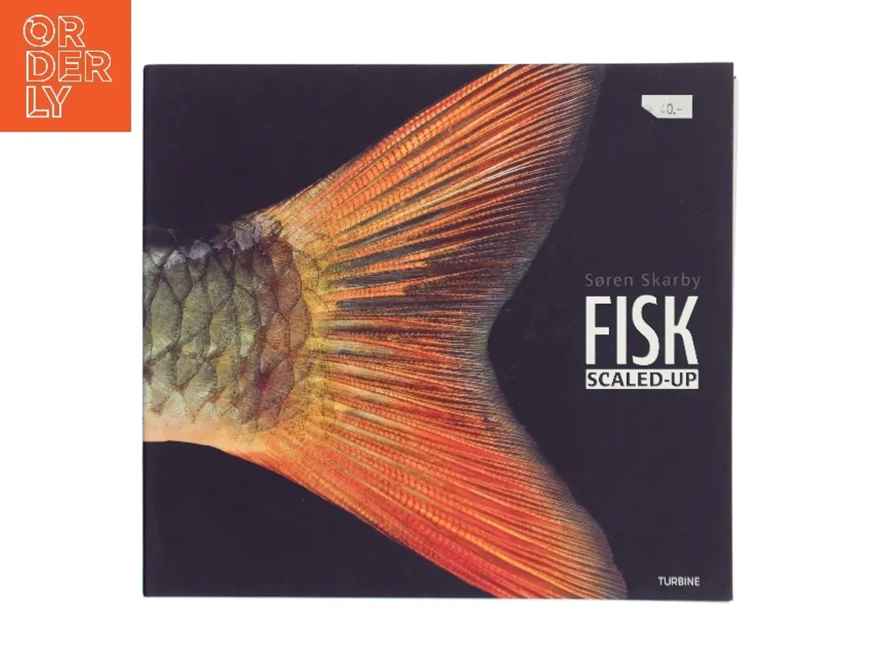 Billede 1 - Fisk Scaled-Up af Søren Skarby (Bog)
