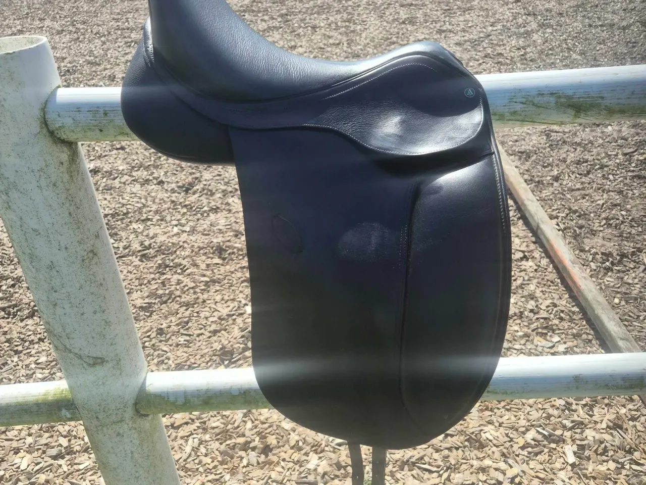 Billede 8 - Bates arena high wither 171/2"