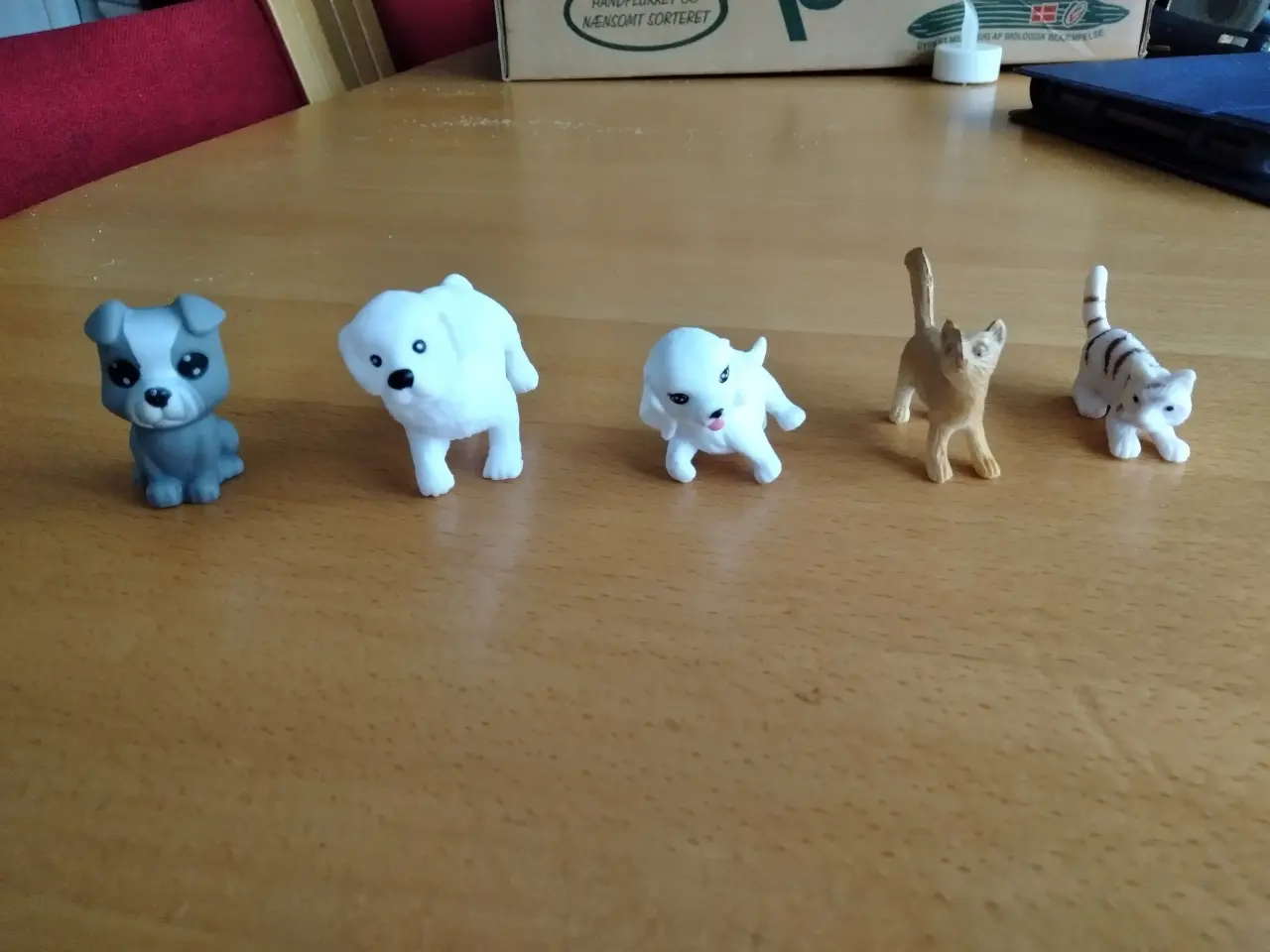 Billede 1 - 4 hunde og 4 katte