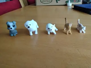 4 hunde og 4 katte