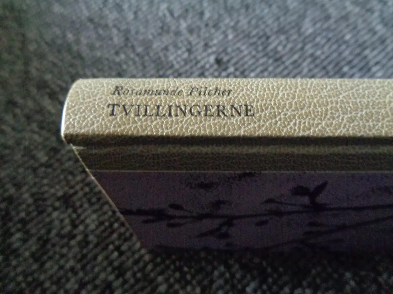 Billede 2 - Tvillingerne