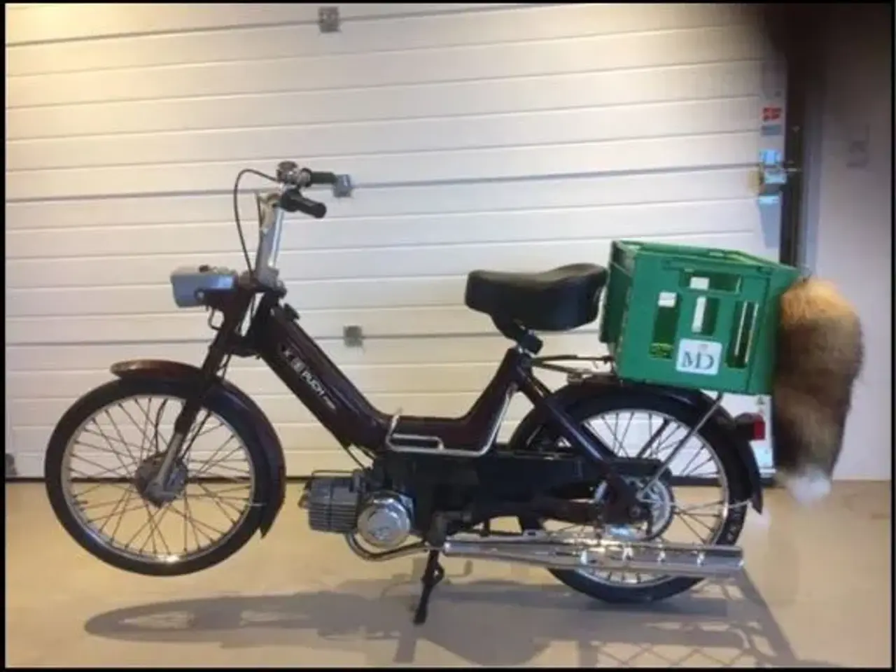 Billede 1 - Søger en puch maxi K
