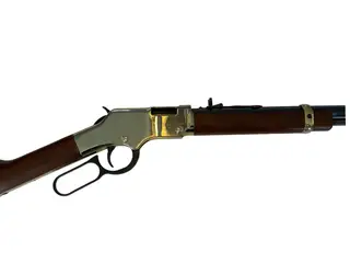 Henry Golden Boy kal 17 hmr