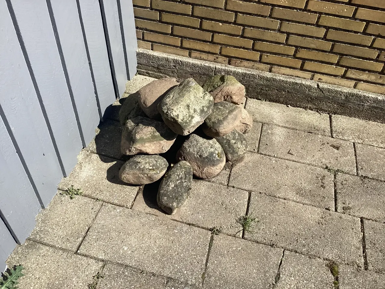 Billede 1 - Kampesten