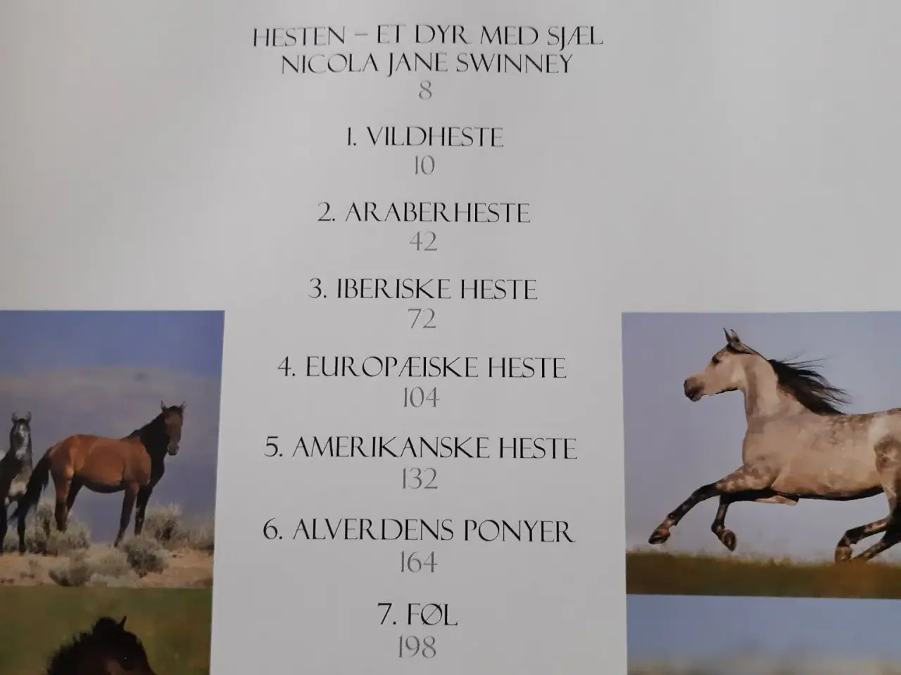 Billede 8 - Flotte Bøger om HESTE.