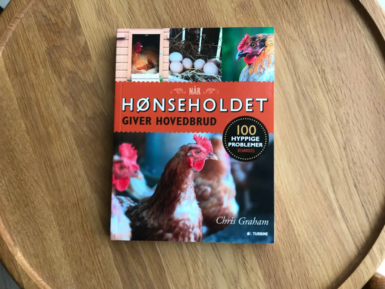 Billede 1 - Når Hønseholdet giver hovedbrud