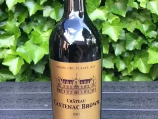 Chateau Cantenac Brown 2005