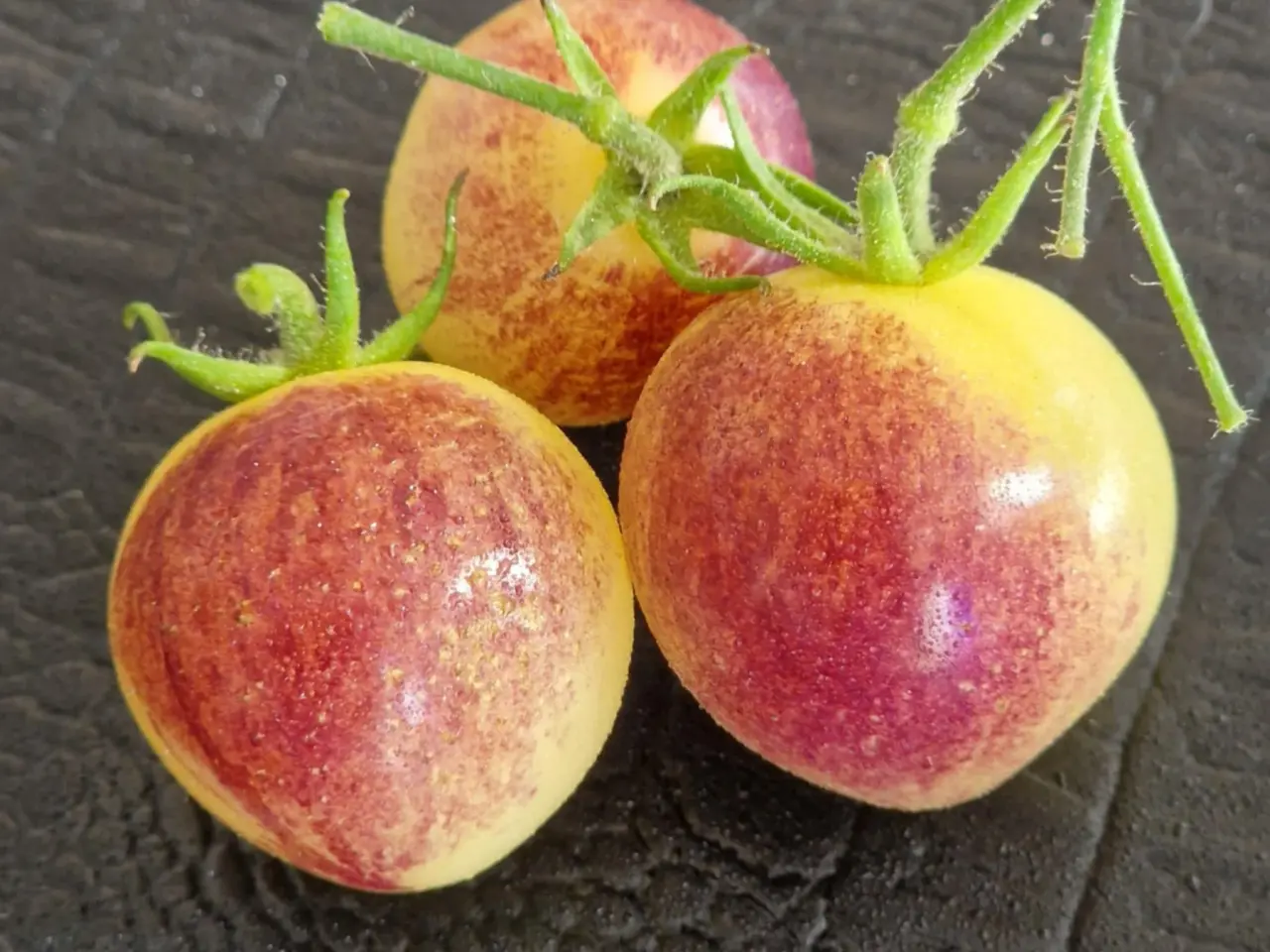 Billede 13 - TOMATFRØ - 300 sorter!!