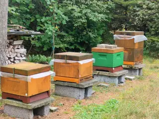 4 bifamilier + udstyr 