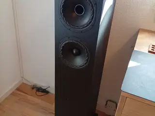 Fyne Audio F501E gulvhøjttalere | Ask, sort.
