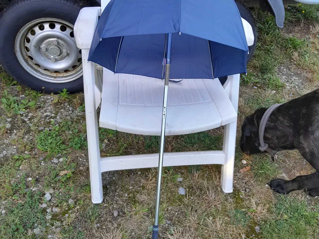 Billede 3 - 31 stk. Golf paraplyer. Blå. Nye. 