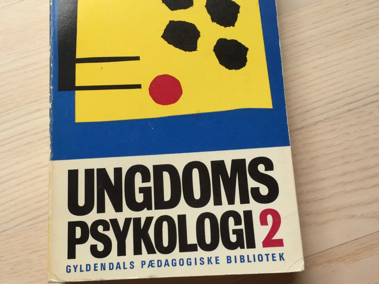 Billede 1 - Ungdomspsykologi 2
