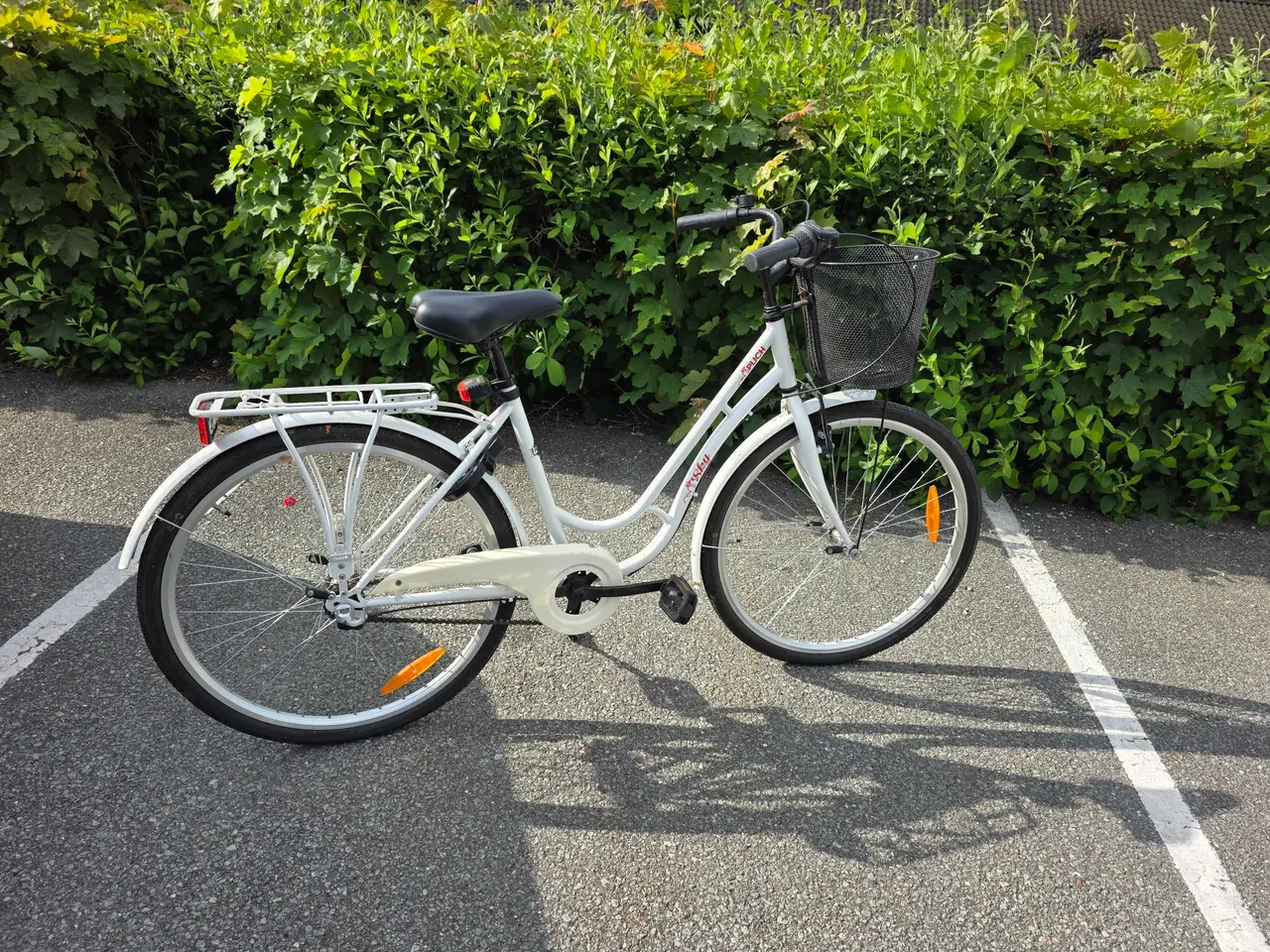 Billede 1 - Pigec ykel 