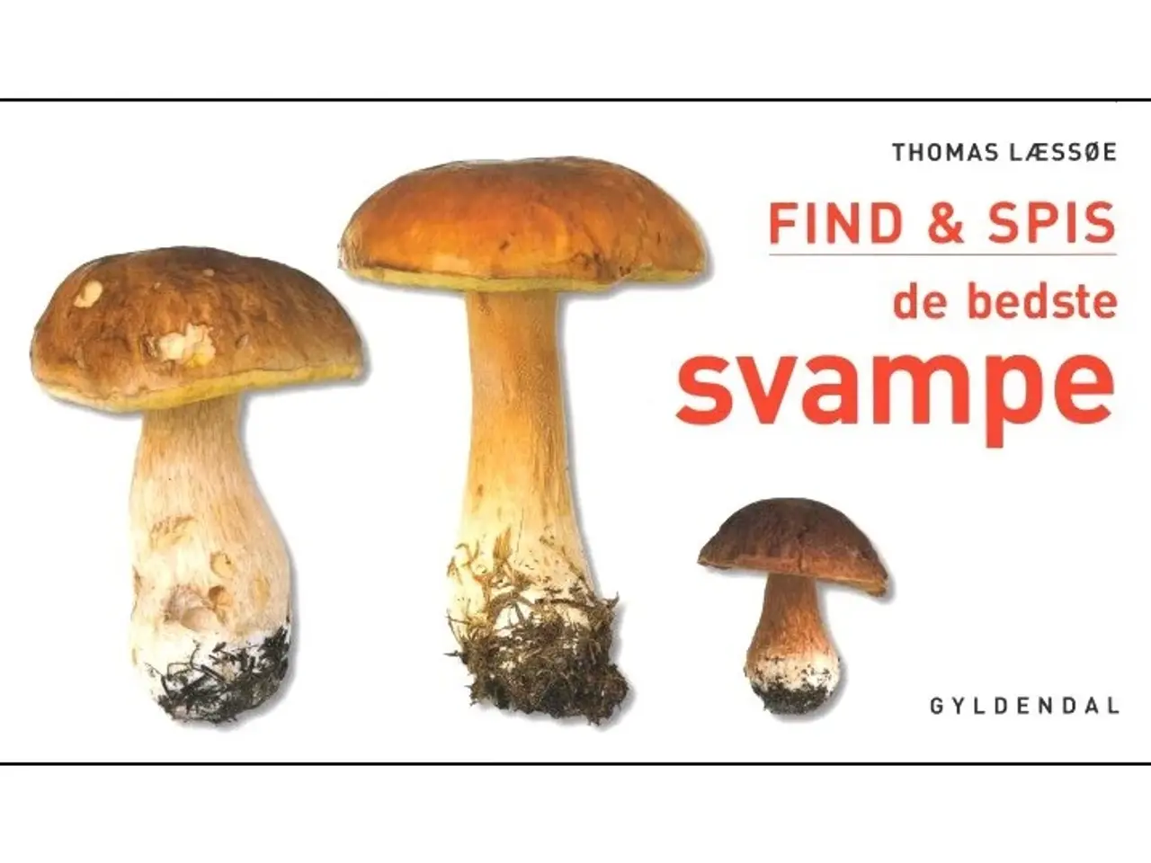 Billede 5 - Svampe - 5 Bøger