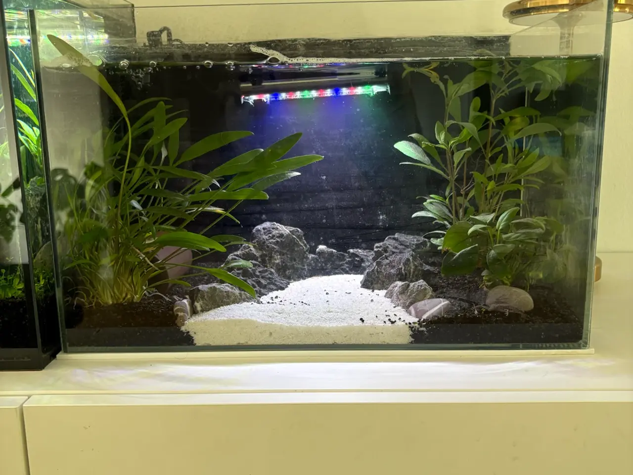 Billede 1 - Akvarie 25L med lys og bundlag