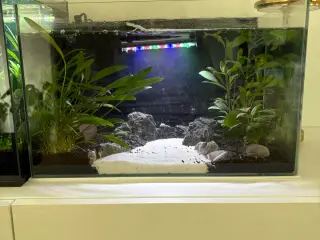 Akvarie 25L med lys og bundlag