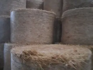Byg halm