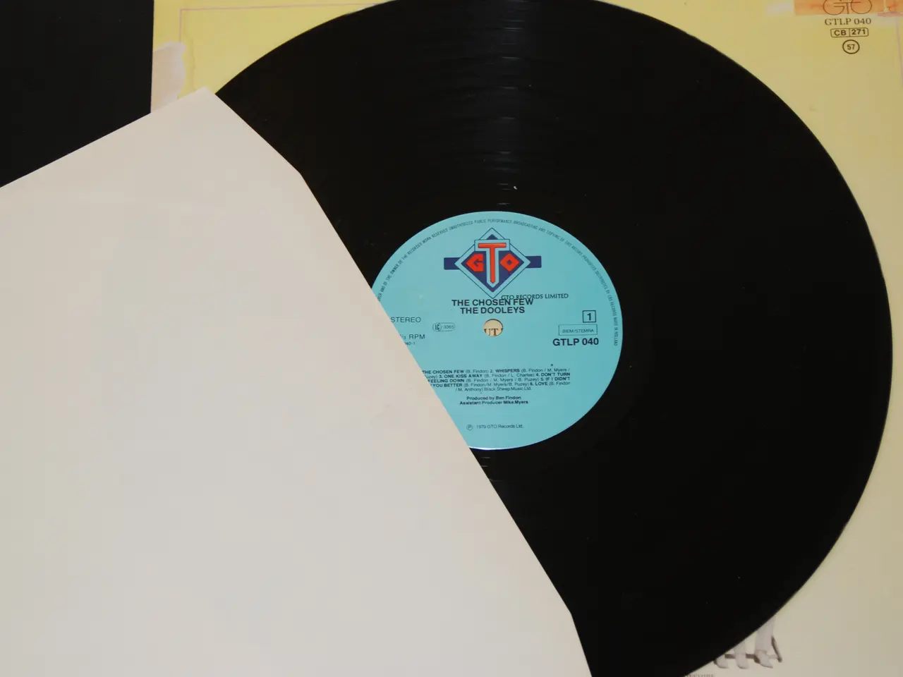 Billede 11 - 3 stk. lp - The Dooleys