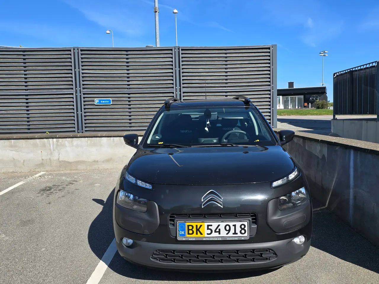 Billede 3 - C4 cactus van 1.6 d manual