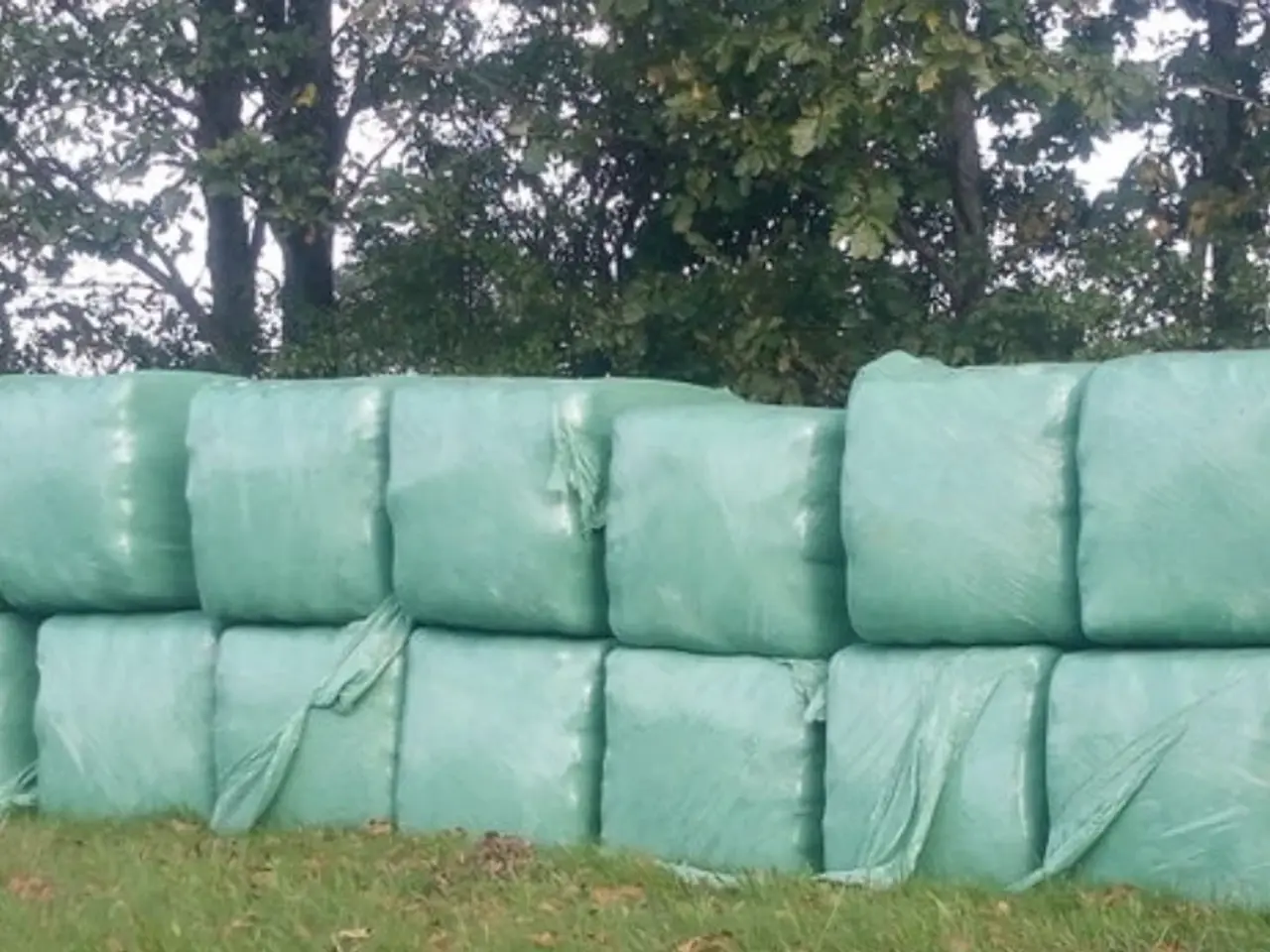 Billede 1 - Ko wrap købes