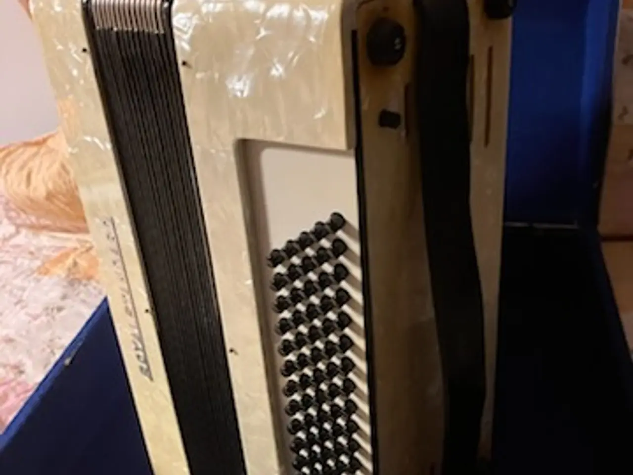 Billede 2 - Pæn og velholdt harmonika