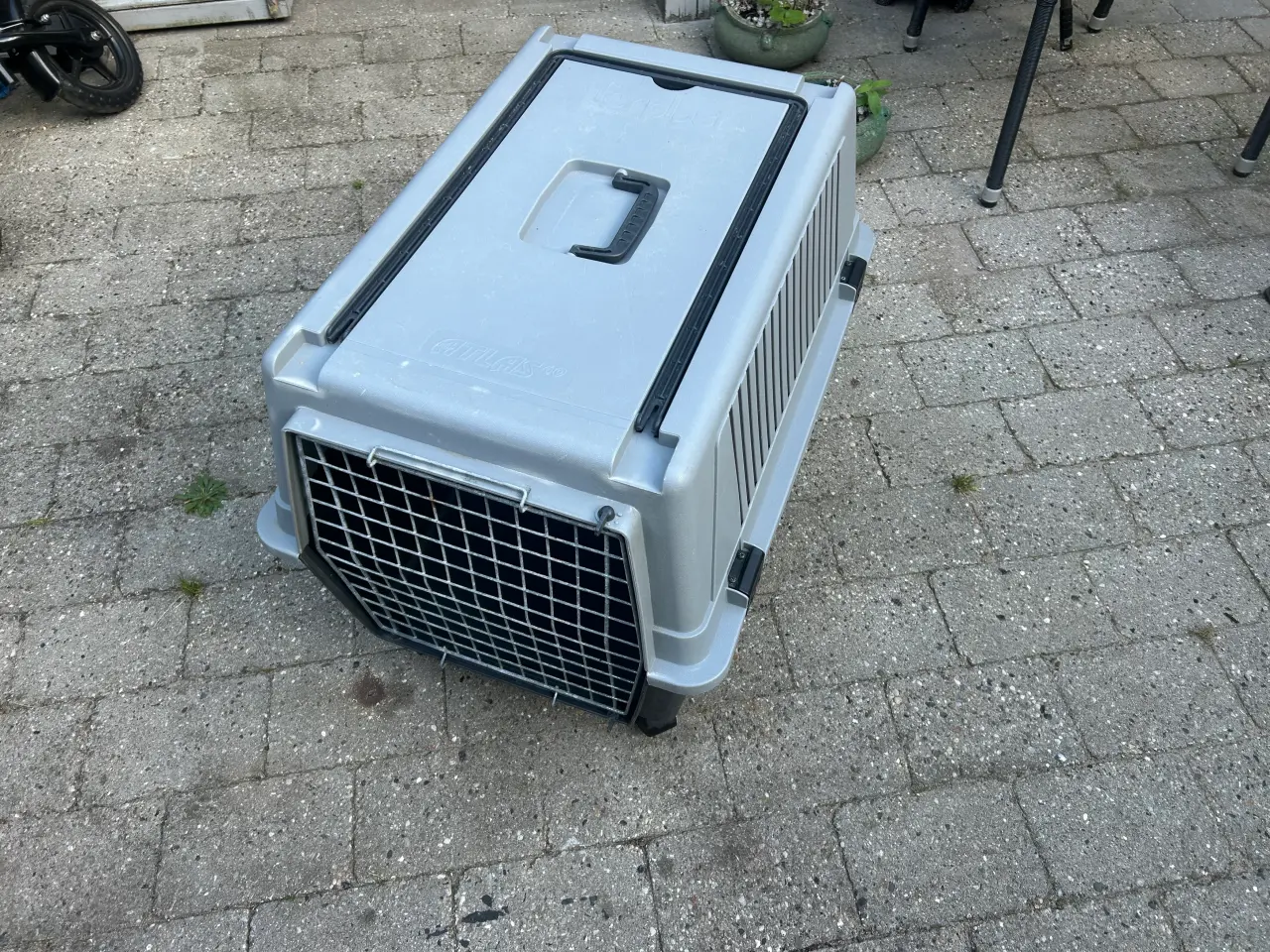 Billede 1 - Transportkasse til Hund / Kat
