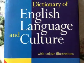 Dictionary of English Language and Cultu