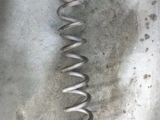 spiral snegle