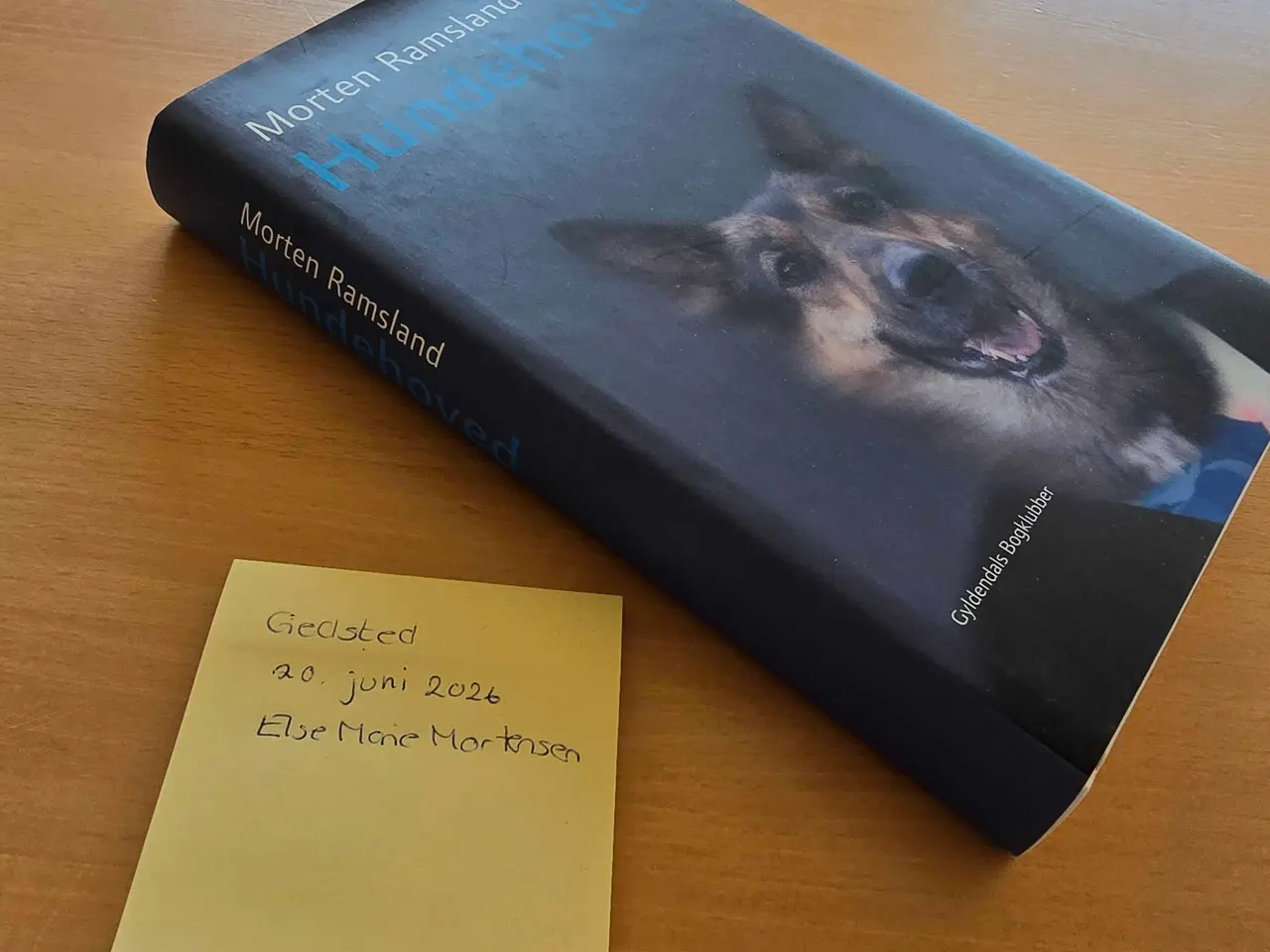 Billede 3 - Bog af Morten Ramsland - Hundehoved