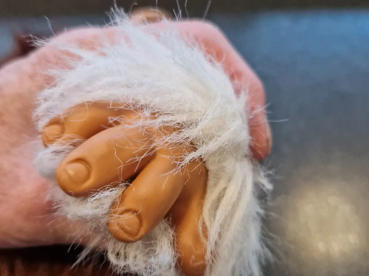 Billede 7 - Gizmo